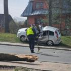 Fotka nr 2 z 5