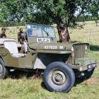 Fotka nr 3 z 15