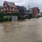 zdjęcie nr 31