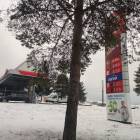 Jabłonka