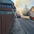 Fotka nr 3 z 15