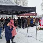 zdjęcie nr 17