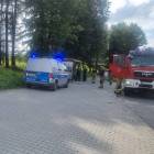Fotka nr 2 z 4