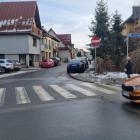 Fotka nr 2 z 6