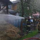 zdjęcie nr 13