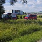 Fotka nr 5 z 8