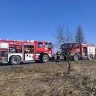 Fotka nr 3 z 12