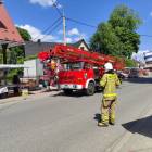 Fotka nr 2 z 16
