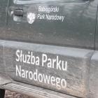 zdjęcie nr 85