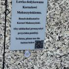 zdjęcie nr 12