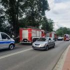 zdjęcie nr 7