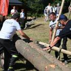 Fotka nr 2 z 16