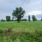 zdjęcie nr 29