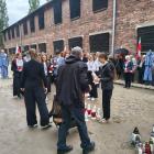 zdjęcie nr 7