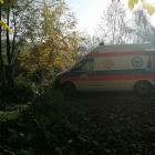 zdjęcie nr 7