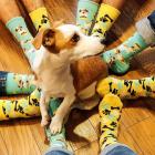FB_IMG_1615399216103