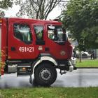 Fotka nr 4 z 5