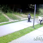 Fotka nr 1 z 3