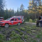 Fotka nr 1 z 15
