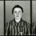 zdjęcie nr 66