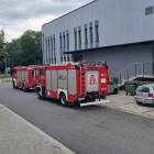 Fotka nr 5 z 7