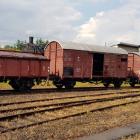 zdjęcie nr 17