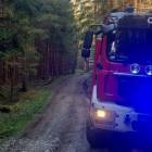 Fotka nr 3 z 12