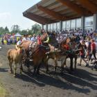 zdjęcie nr 159