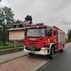 Fotka nr 5 z 13