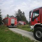 zdjęcie nr 8