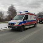 Fotka nr 5 z 11