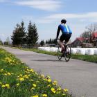 IMG_20200509_105041_1