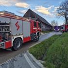 Fotka nr 5 z 7