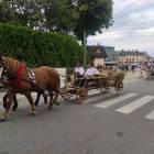 zdjęcie nr 26
