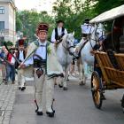 zdjęcie nr 61