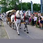 zdjęcie nr 63