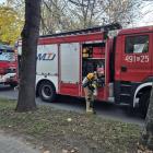 zdjęcie nr 7