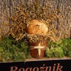 zdjęcie nr 20