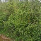 zdjęcie nr 8