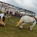 IMG_20210711_171923