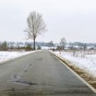 zdjęcie nr 8