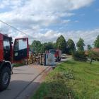 Fotka nr 2 z 3