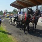 zdjęcie nr 146