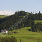 40393395_obiekt_na_sprzedaz_nowotarski_spytkowice_gm_spytkowice_od