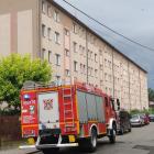 zdjęcie nr 25