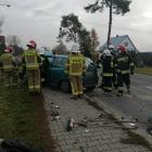 zdjęcie nr 11