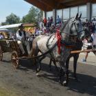 zdjęcie nr 149