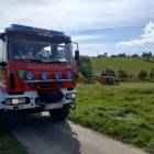 Fotka nr 4 z 17