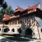 zdjęcie nr 8