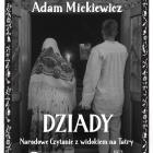 zdjęcie nr 12